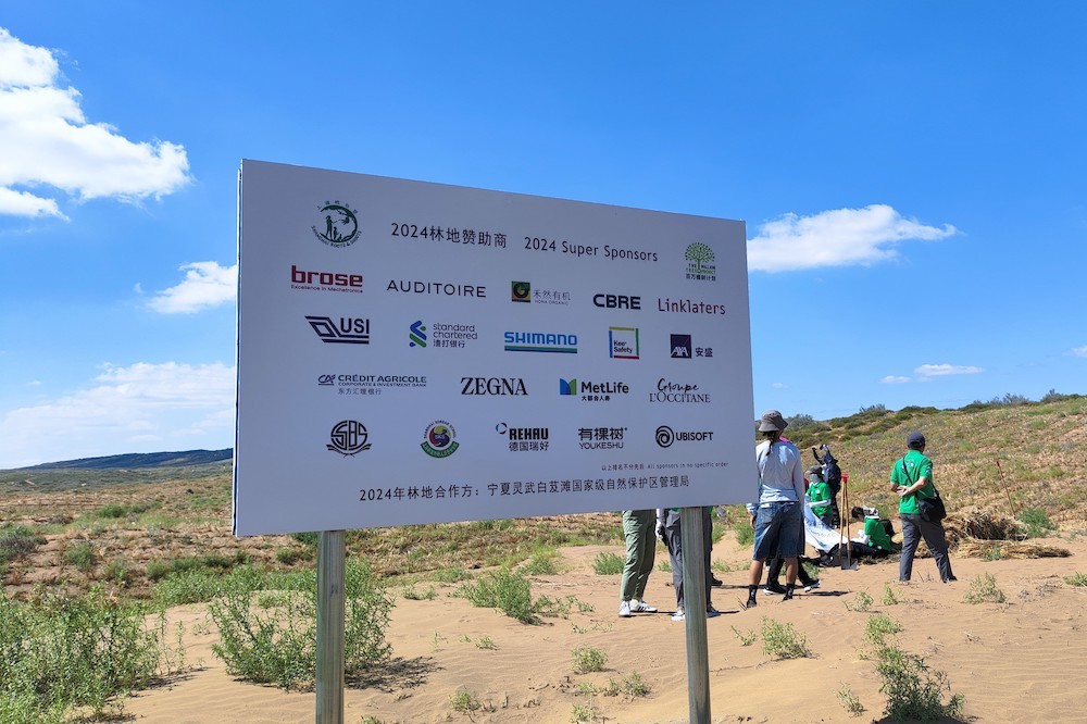 百万植树计划2024年宁夏林地赞助商纪念碑 郭珈源摄 百万植树计划2024年宁夏林地赞助商纪念碑 郭珈源摄